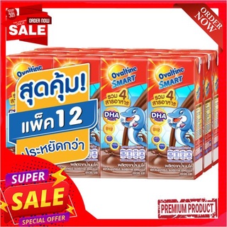 โอวัลตินยูเอชทีสมาร์ทช็อกโกแลต170มลX12OVALTINE UHT SMART CHOCOLATE 170 ML.X12