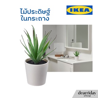 IKEA ต้นไม้ประดับ ต้นไม้ปลอม ต้นไม้ประดิษฐ์ ขนาดเล็ก