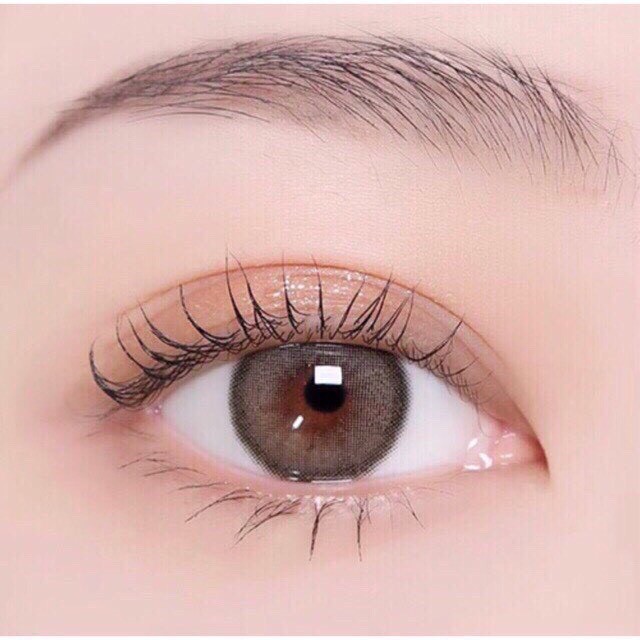 Mini Olivia Brown (1)(2) มินิ สีน้ำตาล น้ำตาล โทนธรรมชาติ ละมุน Kitty Kawaii ค่าอมน้ำสูง ช่วยถนอมดวงตา Contact Lens