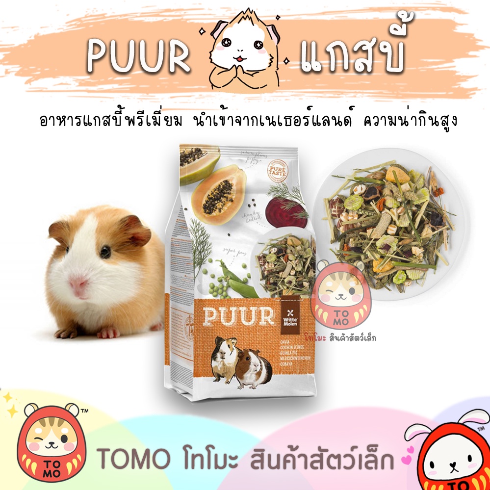 ร้านโทโมะ 💕 PUUR Guinea Pig อาหารแกสบี้ สูตร มะละกอ วิตามินซีสูง อาหารเควี่ หนูตะเภา หนูขวัญ