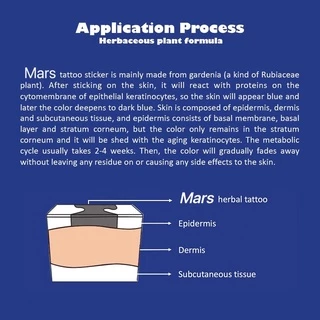 Mars Tattoo NEW Technology Magic - ติดทนนาน 2 สัปดาห์ สติ๊กเกอร์รอยสัก ภูเขาผจญภัย MNF086