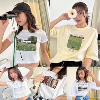 Morning เสื้อยืด Nineties Design_Landscape collcetion (Oversize/Crop)⛰ S M L