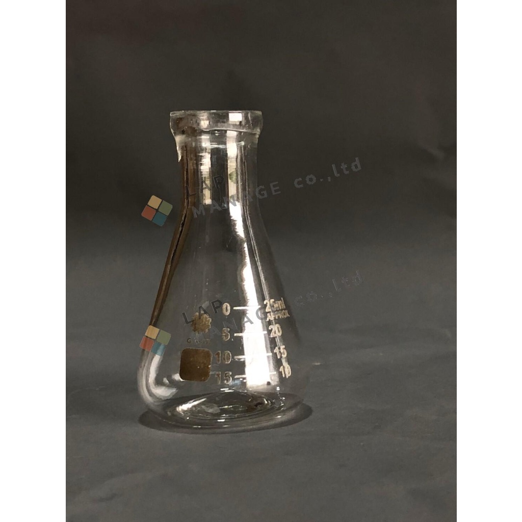 ขวดแก้วรูปชมพู่ erlenmayer flask
