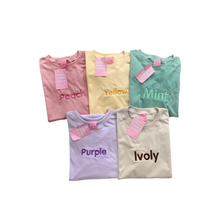 destinytshirt เสื้อยืด oversize ผ้าคอตตอน สไตล์ minimal ปัก Peach Yellow Mint Purple Ivoly🤎