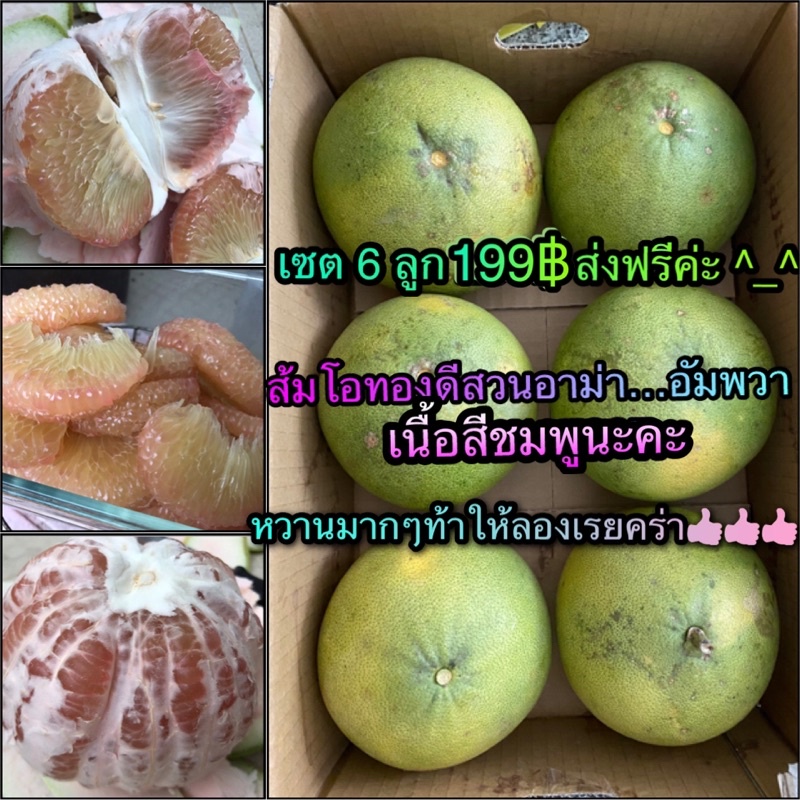 à¹‚à¸›à¸£ 6 à¸¥à¸¹à¸ 2ï¸ âƒ£9ï¸ âƒ£9ï¸ âƒ£ à¸ªà¹ˆà¸‡à¸Ÿà¸£à¸µà¸„à¸£à¹ˆà