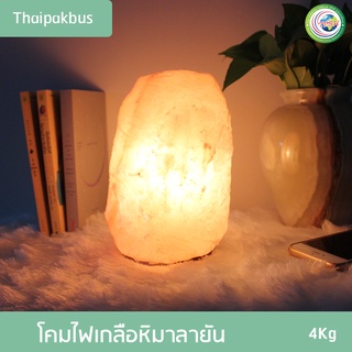 โคมไฟเกลือหิมาลายัน Himalayan Salt Lamp ทรงธรรมชาติ ขนาด 4kg โคมไฟเกลือหิมาลัย โคมไฟ #LP16