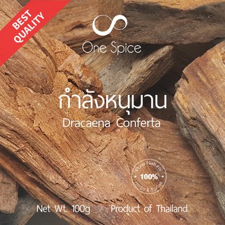 Onespice กำลังหนุมาน 100 กรัม (1 ขีด) | Dried Dracaena Conferta | One Spice