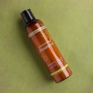 [NEW] dōTERRA Salon Essentials Protecting Shampoo แชมพู