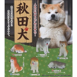 กาชาปอง สุนัขอคิตะ อินุ Akita Inu Gashapon (สินค้าใหม่ แท้ จากญี่ปุ่น พร้อมไข่และใบปิด ยกเซ็ท 6 ตัว)