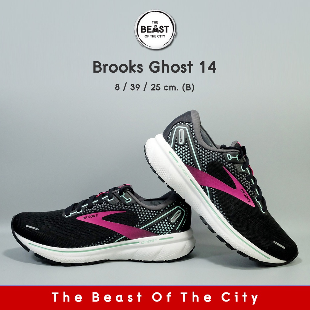 Brooks Ghost 14 (2021) (25.0)