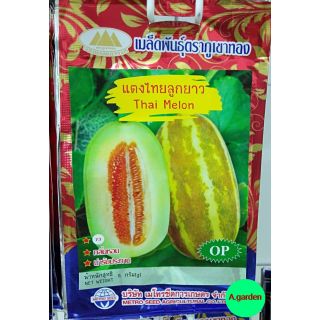 เมล็ดพันธุ์แตงไทยลูกยาว ( Thai Melon ) แพ็ค​ 10​ ซอง