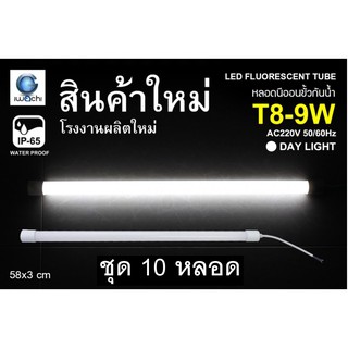 IWACHI หลอดนีออนสี ขั้วกันน้ำ รุ่นใหม่ LED T8 9W สีขาว (10 หลอด)