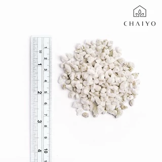 เพอร์ไลท์ แบ่งขาย 3 ลิตร Perlite 3L