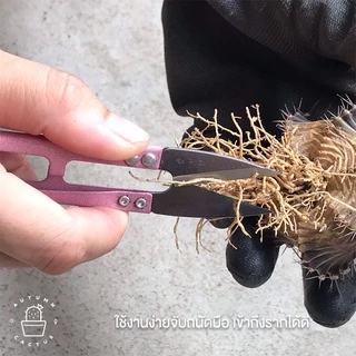 ✂️กรรไกรตัดราก อเนกประสงค์ ทรงก้ามปู ตัดด้าย ตัดผ้า ขนาดเล็ก วัสดุคาร์บอนคุณภาพสูง สีชมพู สีเทาเข้ม ✂️