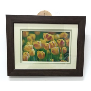 Tulip Frame กรอบรูปดอกทิวลิป