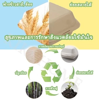 ✨50 ใบ✨ กล่องเค้กมินิมอล เกาหลี ชานอ้อย 6นิ้ว 450ml สามารถรองรับเค้กชีสเค้ก ข้าว เบอร์เกอร์ ขนม อาหาร บอร์เกอร์ 2 สี