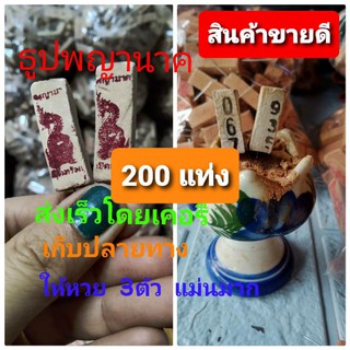 ธูปพญานาค 👍ธูปใบ้หวย💥บรรจุ 200 แท่ง แห่งป่าคำชะโนด ให้หวยแม่น สามตัวตรง  ขอโชคลาภ จากพ่อปู่ศรีสุทโธ