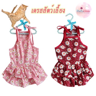 New Daisy Pet Dress เดรสลายดอกเดซี่ของสัตว์เลี้ยง เดรสแมว เดรสหมา ชุดแมว