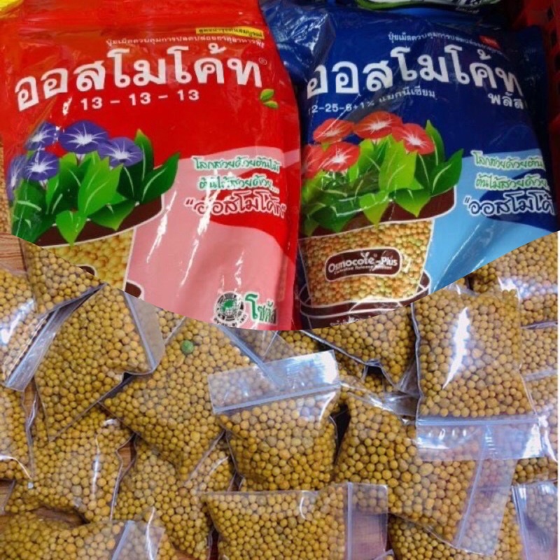 ปุ๋ยละลายช้า ปุ๋ยเร่งดอก ปุ๋ยเร่งใบ สำหรับใส่แคคตัส ซอง 30g.