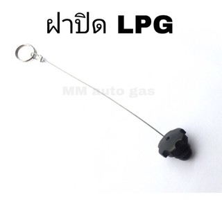 ฝาปิดLPG ฝาปิดหัวเติมLPG