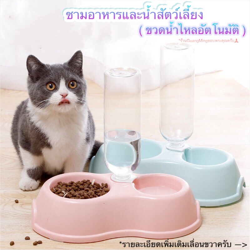 [ ลด15% ขั้นต่ำ 499 code:  PTPDMGUA ] ชามอาหารและน้ำแมว ชามอาหารแบบน้ำไหลอัตโนมัติ (🇹🇭พร้อมส่ง📦)