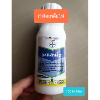 อะแลนโต กำจัดเพลี้ยไฟในข้าว