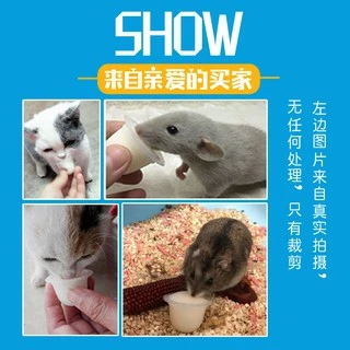[HiHamster] พุดดิ้งนมแพะ Goatmilk Pudding แบ่งขายสำหรับแมว กระรอก ชูก้า หนูแฮมเตอร์