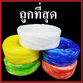 (Y) เชือกฟางใหญ่ เชือกตราม้า ขนาด 6 นิ้ว (1 ม้วน)