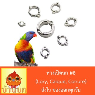 ห่วงเปิดนก #8 ห่วงขานก  แหวนนก (Lory, Caique, Conure)