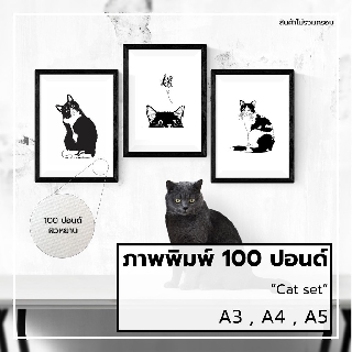 ภาพแมว,รูปแมว,รูปตกแต่ง,ภาพพิมพ์,กระดาษ,100ปอนด์,ขนาด,A3,A4,A5,A6,ภาพติดผนัง,รูปติดผนัง,ทาสแมว,แมว,ขาว,ดำ