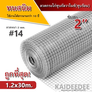 ลวดตาข่ายสี่เหลี่ยมชุบกัลวาไนซ์(ชุบร้อน) ไม่เป็นสนิม ตา2นิ้ว ลวด2มิล 1.2x30เมตร ล้อมต้นไม้ ไม้เลื้อย กรงไก่ กรงนก