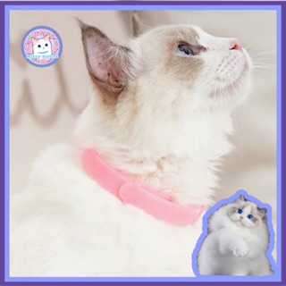 MILLY HOUSE♥Pet flea collar ปลอกคอกำจัดเห็บหมัด ยากำจัดเห็บหมัด ผลิตภัณฑ์กำจัดเห็บหมัด ยาหยอดกำจัดเห็บ หมัด สำหรับแมว