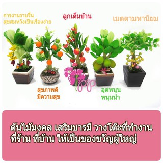 ต้นไม้ดินปั้นญี่ปุ่น ต้นไม้มงคล