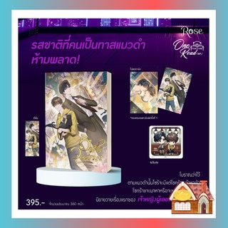 [พร้อมส่ง] วิฬาร์วุ่นรัก (เล่มเดียวจบ)