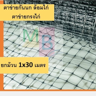 ตาข่ายกรงไก่ สีดำ 1x30เมตร ตาข่ายกันนก ตาข่ายเอ็น ตาข่ายเอ็นกรงไก่ ตาข่ายกันนกพิราบ ตะแกรงพลาสติก ล้อมไก่