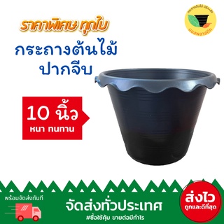 (เก็บโค้ดส่งฟรีหน้าร้านค้า) กระถางบัวปากจีบ กระถางปากจีบ 10 นิ้ว