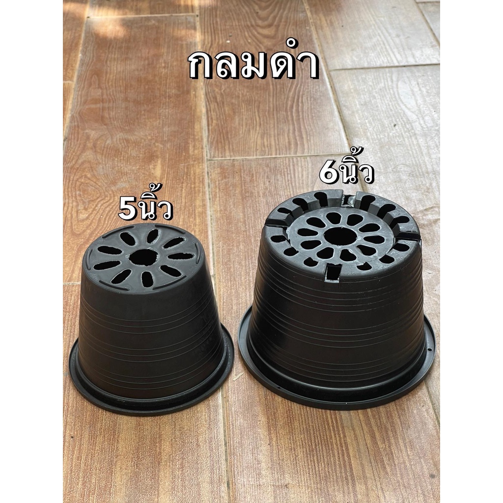 กระถางต้นไม้พลาสติกสีดำ อุปกรณ์ตกแต่งสวน อุปกรณ์จัดสวน แพ็คละ3ใบ – โปรปัง