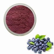 500g Blueberry Powder BrQE