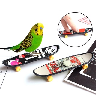 E-3 Skateboard สเก็ตบอร์ด ของเล่นนก [ลายคละ]