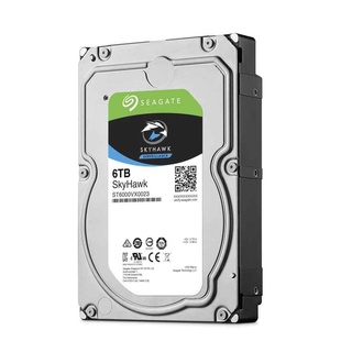 HARDDISK VIDEO 24/7 ST6000VX001_3Y