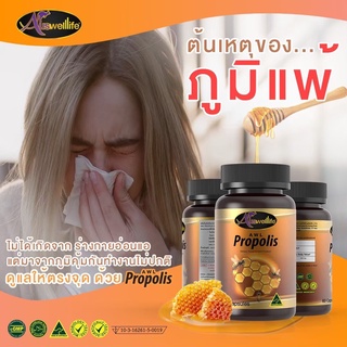 Auswelllife Propolis พรอพอลิส 1000 mg ตัวต้านแบคทีเรีย และสร้างภูมิให้ร่างกาย