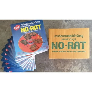 กาวดักหนูเเบบสำเร็จรูป6กล่อง/12ถาด by RCP.Kingplastic