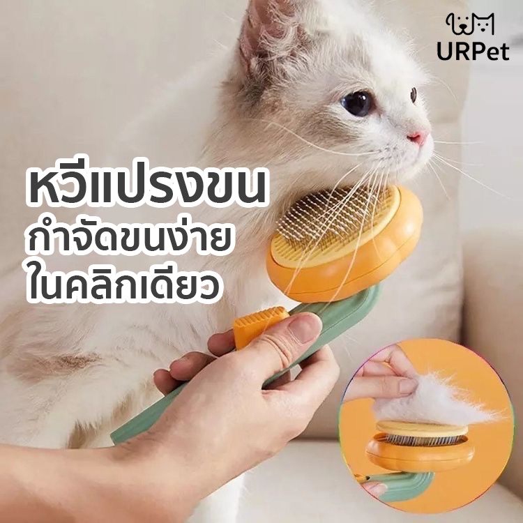 UrPet 🌈  หวีฟักทอง หวีแปรงขน มีปุ่มดันขนออก หวีสัตว์เลี้ยง กำจัดขน ลดก้อนขน ขนร่วง หวีสุนัข