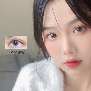 Sirine gray เลนส์มินิ ค่าอมน้ำ55% beautylens