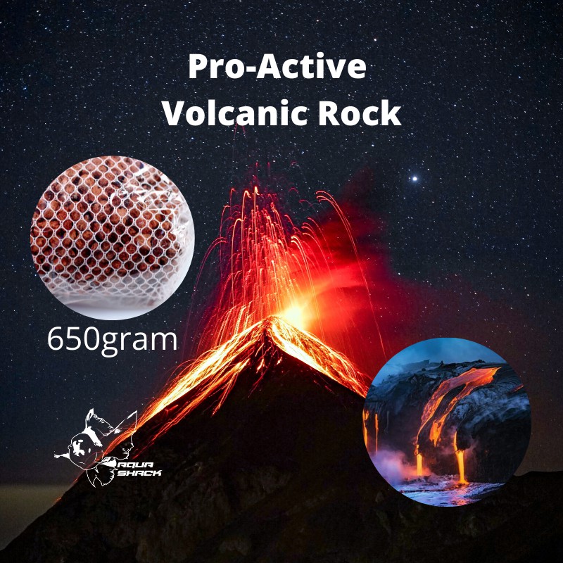 650gram Pro-Active Volcanic Lava Rock - Aquarium Lava Rock Filter Media - Japanese Researched Volcan