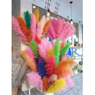 Rarin ดอกเลาย้อมสีหลายสี (15ก้าน) ขนาด 80-90 cm. เป็นดอกไม้ธรรมชาติ  ดอกฟุ้งฟิ้ง ใช้ประดับห้อง ร้าน งานแต่ง