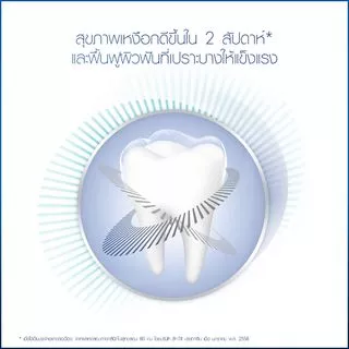 Oral-B ออรัลบี ยาสีฟัน ป้องกันฟันผ 160 กรัม Gum and Enamel Care Toothpaste 160 g