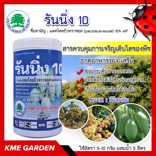 🍄อาหารเสริม🍄 รันนิ่ง10 ขนาด 1 กิโลกรัม แพคโคลบิวทราซอล 10% แพคโค ช่วยกระตุ้นการออกดอก ทำให้ออกดอกได้เร็วขึ้นก่อนฤดูกาล