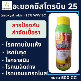 อะซอกซีสโตรบิน 25% ขนาด 500 ซีซี สารป้องกันกำจัดโรคพืช เชื้อรา ใบจุด เมล็ดด่าง โรคแอนแทรกโนส