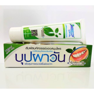 ยาสีฟันบุปผาวันเอนไซม์เฮิร์บ Buppawan Herbal Toothpaste สูตรสมุนไพร(สีเขียว) หลอดใหญ่ 130 กรัม